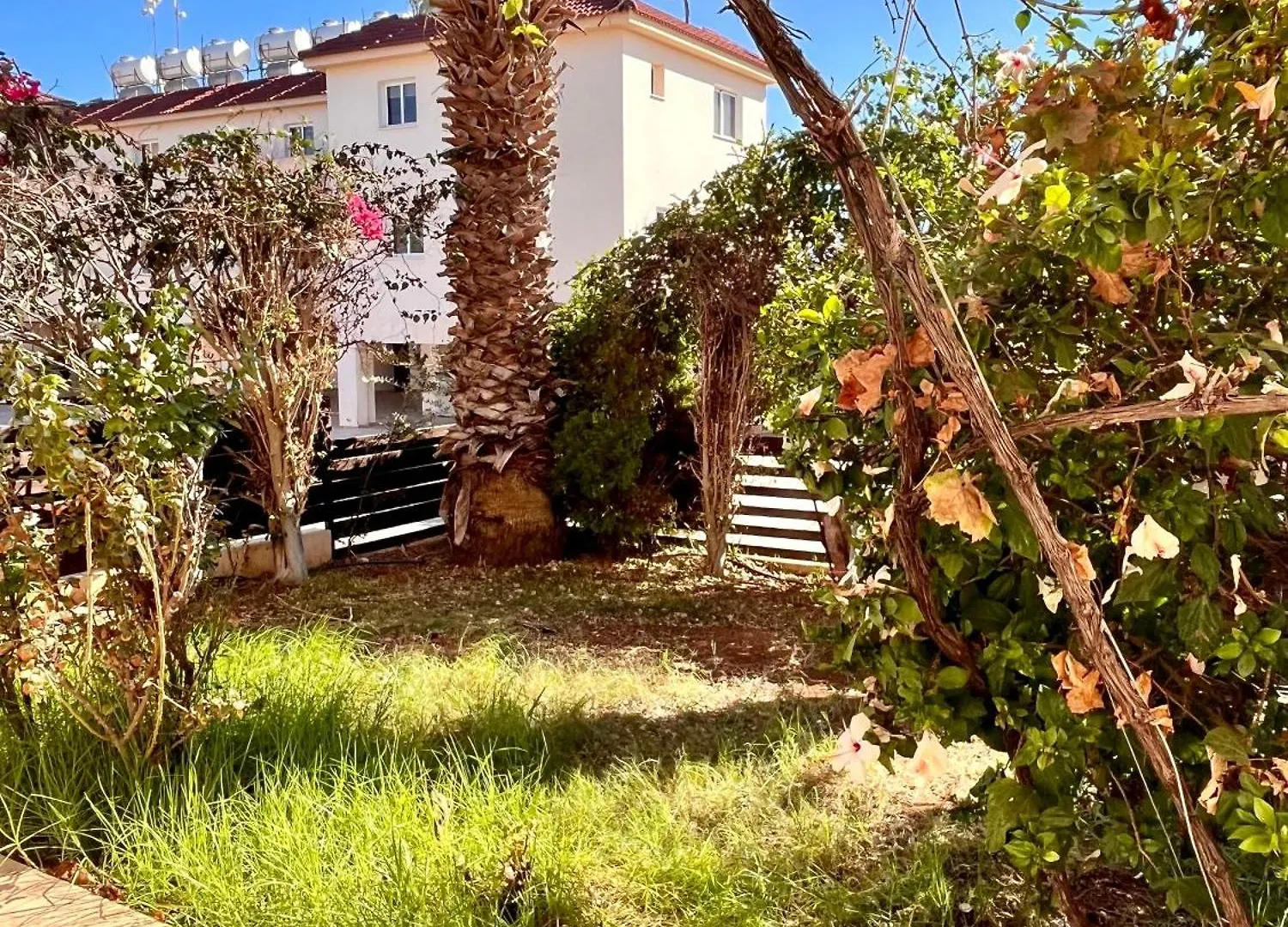2 Bedroom With Private Garden, Walk To Nissi Beach, Communal Swimming Pool أيا نابا شقة